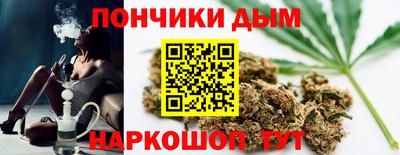 jwh Можга